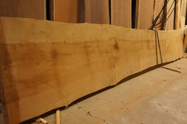 イチョウ一枚板カウンター