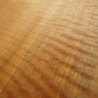 タブの木の縮杢