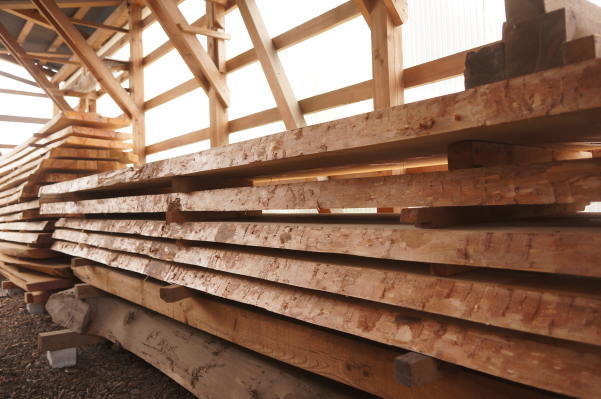 モミの木カウンター一枚板