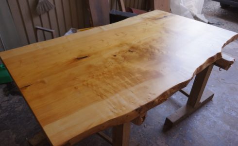 イチョウ一枚板