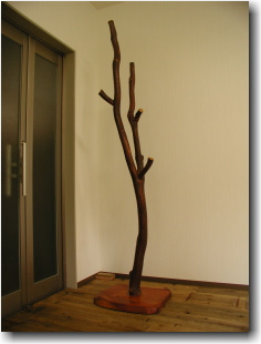 曲がった木の帽子掛け