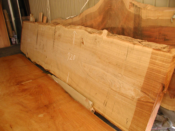 タモ天然木一枚板素材