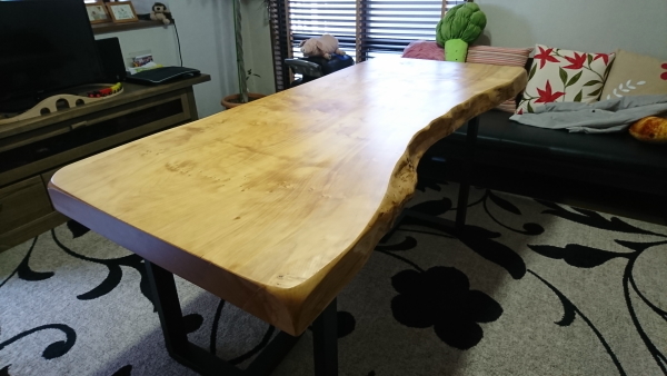 イチョウ一枚板