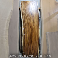 モンキーポット2.9m