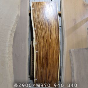 モンキーポット2.9ｍ