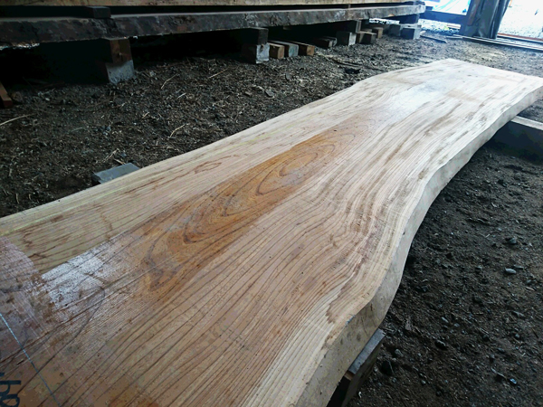 ケヤキ一枚板玄関板