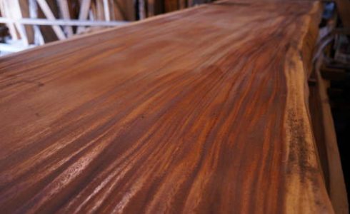 モンキーポット一枚板