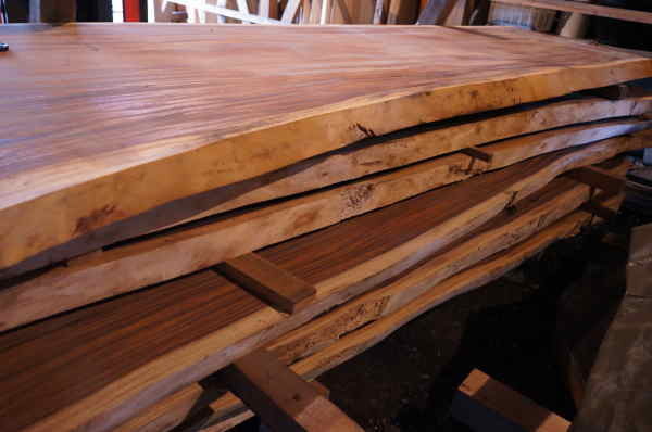 モンキーポット販売