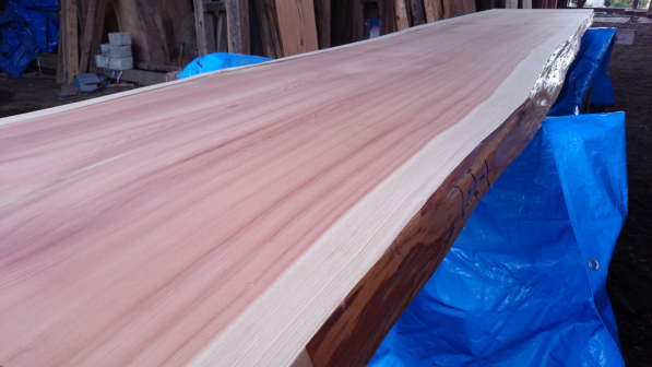 杉一枚板カウンター