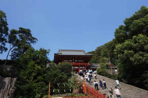 鶴岡八幡宮
