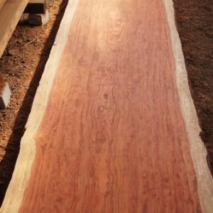 ブビンガカウンター用材