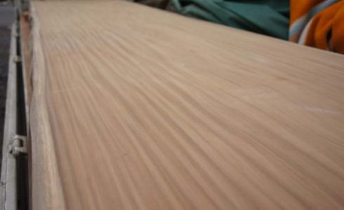 アサメラ一枚板