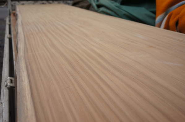 アサメラ一枚板