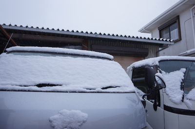 雪の春日部市
