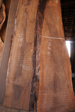 ブラックウォルナット一枚板