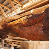 赤松皮付き丸太