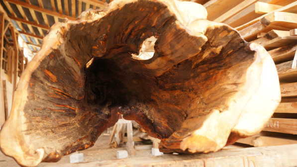 皮付き丸太　販売