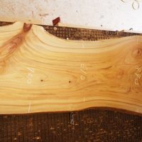 クスノキ一枚板