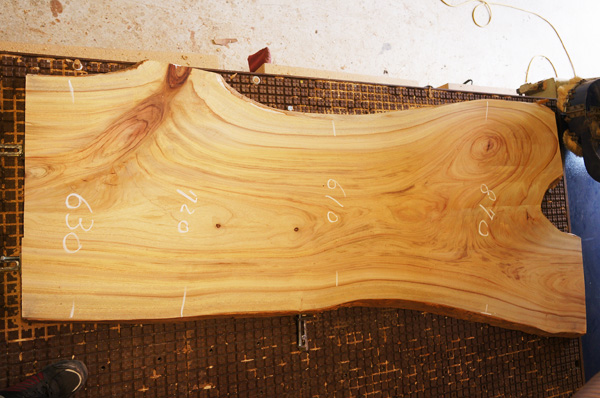 クスノキ一枚板