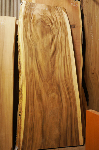 モンキーポット一枚板