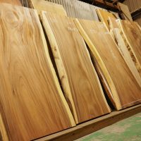 モンキーポット一枚板販売中