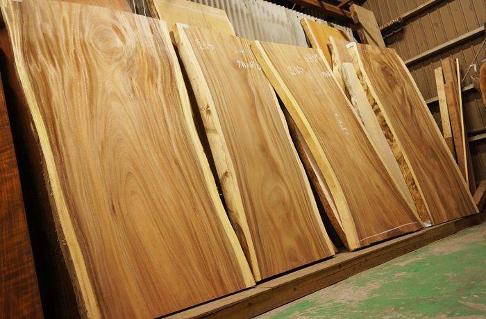 モンキーポット一枚板販売中