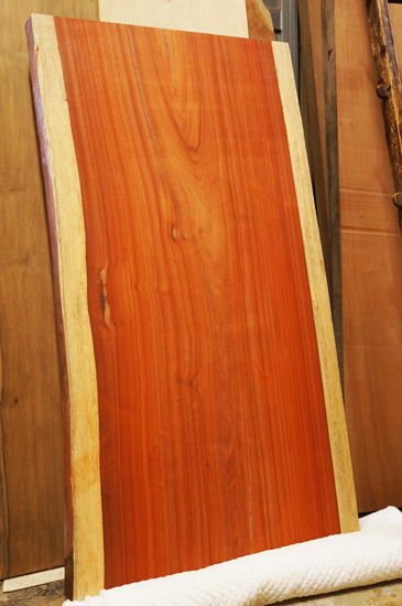 パドック一枚板