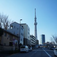 天然木を東京都へ