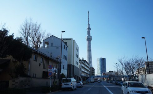 天然木を東京都へ