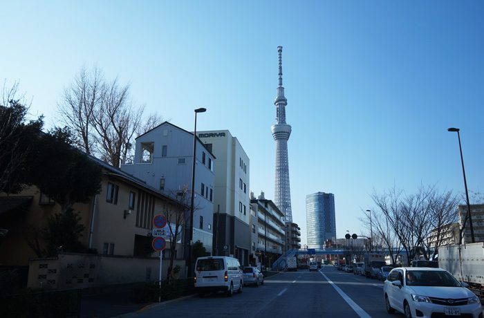 天然木を東京都へ