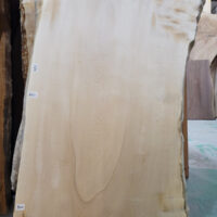 白栃一枚板テーブル