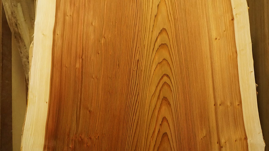 天然杉一枚板天板