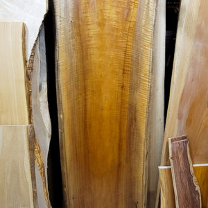 たぶのき無垢一枚板