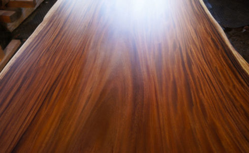 モンキーポット一枚板