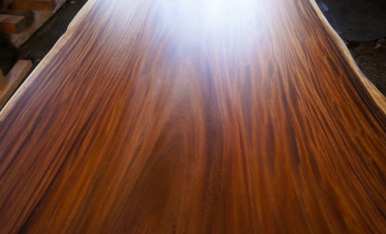 モンキーポット一枚板