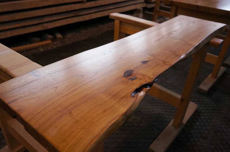 アカシアの木ベンチ