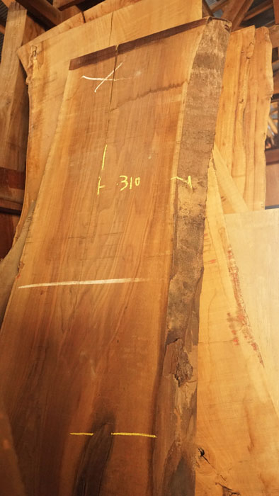 ﾌﾞﾗｯｸｳｫﾙﾅｯﾄ棚板