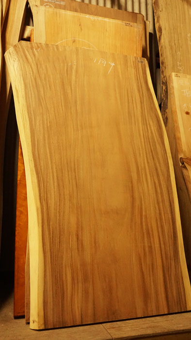 モンキーポット一枚板