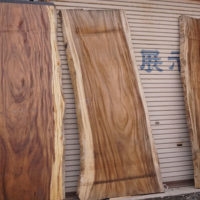 モンキーポット展示品