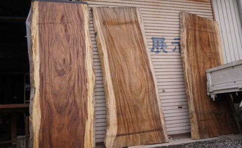 モンキーポット展示品