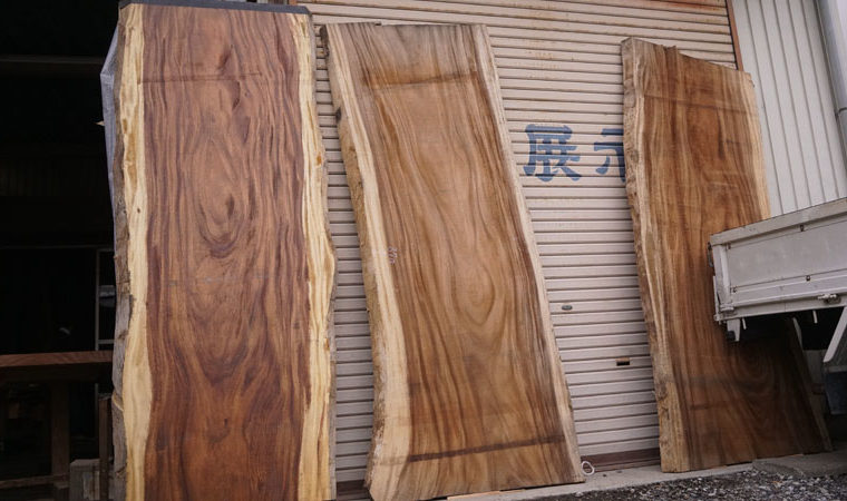 モンキーポット展示品