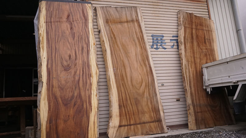 モンキーポット展示品