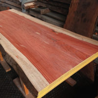 パドック一枚板