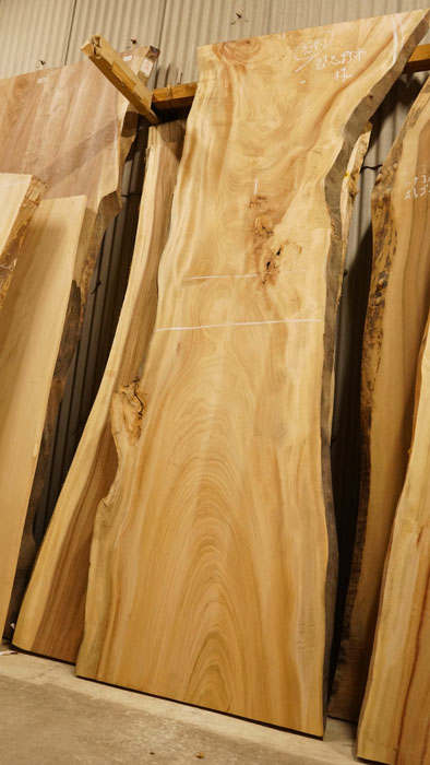 クスノキ一枚板