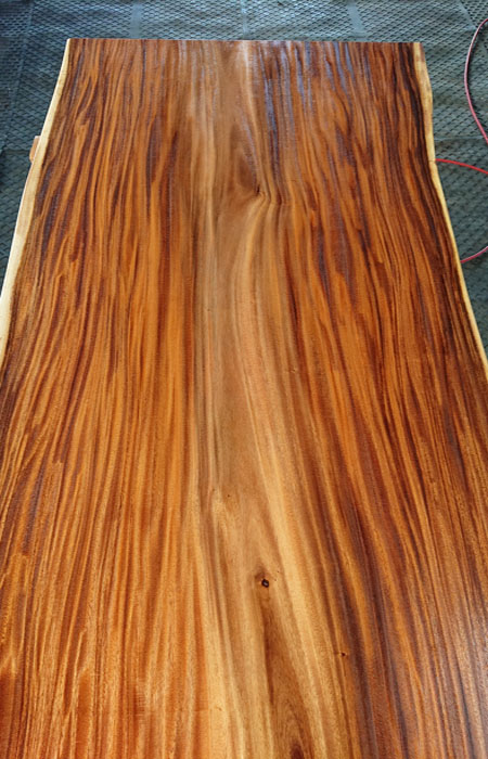 モンキーポット一枚板天板