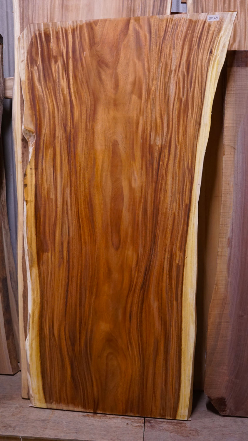 モンキーポット幅広一枚板