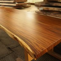 モンキーポット一枚板