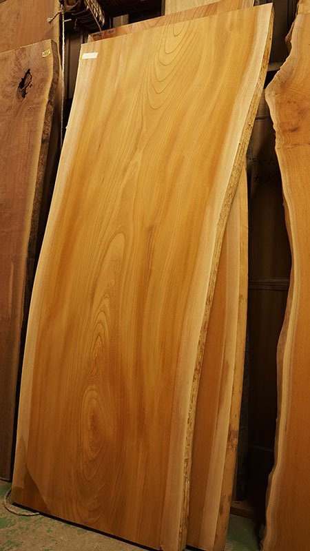 杢ありのケヤキ