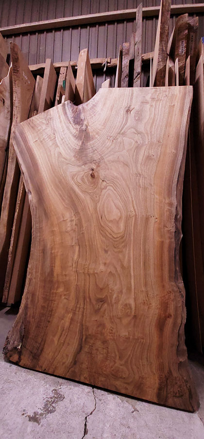 クスノキ一枚板