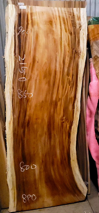 モンキーポット一枚板